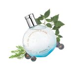 Hermes Eau Des Merveilles Bleue EDT 100 ml Kadın Outlet Parfüm