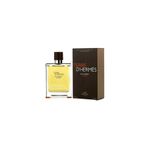 HERMES PARIS Hermes Terre D Hermes Eau Intense Vetiver Edp 100 ml Erkek Parfüm hermes-intens