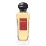 Hermes Rocabar EDT 100 ml Erkek Parfüm