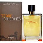 Hermes Terre D EDT 100 ml Erkek Outlet Parfüm