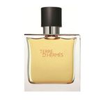 Hermes Terre D'Hermes EDT 100 ml Erkek Parfümü