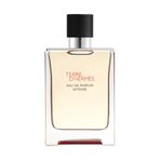 Hermes Terre D'Hermes Intense EDP 50 ml Erkek Parfümü