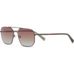Hermossa Darell Hm 1756 C2 Pilot Erkek Güneş Gözlüğü - Kahverengi