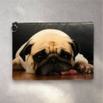 Herşey Nota Pug Cins Köpek Clutch Portföy Çanta - Çok Renkli