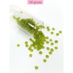 Herşey Trend Herşeytrend Dökme Cam Kum Boncuk Büyük Boy (6/0) 4 mm - 20 Gram - Şeffaf Mat Yeşil - BNC092