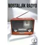Herşeytrend Nostaljik Görünümlü Usb Girişli Bluetooth Bağlantılı Radyo
