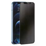 Herşeytrend Samsung Galaxy S24 Plus 3D Antistatik Hayalet Cam Ekran Koruyucu