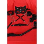Herşeytrend Siyah İçi Tüylü Maske,Kol,Bacak,Ağız Topu,Kırbaç,Tasma Set