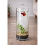 Heryerden El Işciliği Silindir Vazo 1.sınıf 15X40 cm Akvaryum Beta Balığı Japon Balığına Uygun