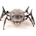 Hexbug Mikro Robot Bok Böceği