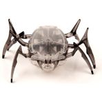 Hexbug Siyah Bok Böceği