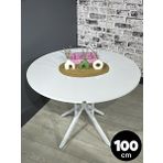 Hey Modüler Mobilya Sedef Beyaz Yuvarlak Masa Metal Beyaz Ayak 100 CM