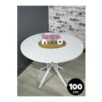 hey modüler mobilya Sedef Beyaz Yuvarlak Mutfak Yemek Masası Balkon Masası Metal Beyaz Ayak 100 Cm