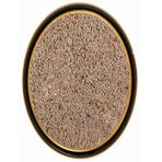 Heybeli Aktar Baharat 250 gr Karnıyarık Otu Tohumu