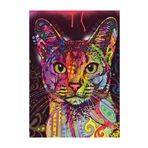 Heye Jolly Pets Abyssinian 2000 Parça Puzzle