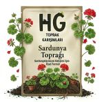 Hg Sardunya (Pelargonium) Çiçeği Toprağı