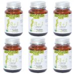 Hhs A1 L-Carnitine Lepidium 6x30 Kapsül
