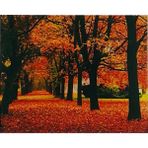 Hi Stone 5D Elmas Boncuk Taş İşleme Mozaik Goblen Kit Tablo 50 x 40 cm GC73478