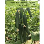 Hibrit Sırık Salatalık Tohumu 10 Adet F1 Nasuhi Hibrit Hıyar Tohumu