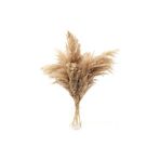 Hidden Botanics Kuru Çiçek Dekoratif Pampas 8'li Kabarık Büyük Demet 75 Cm Dekoratif Pampas Otu - Gri - Beyaz