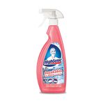 Highgenic 3 x 750 ml Duşakabin ve Banyo Temizleyici