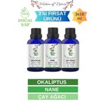 Hikona Heka 3'lü Set (OKALİPTUS - NANE - ÇAY AĞACI) Uçucu Yağı %100 Saf Ve Doğal (3X10 ML)