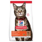 Hill's 10 kg Optimal Care Tüm Irklar İçin Kuzulu Tahılsız Yetişkin Kuru Kedi Maması