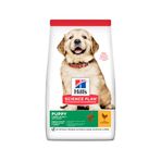 Hill's 2.5 kg Puppy Large Büyük Irk Yavru Köpek Maması