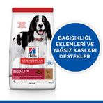 Hill's 2,5 kg Kuzu Etli Yetişkin Kuru Köpek Kuru Maması