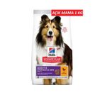 Hill's Adult Sensitive Skin Hassas Köpekler İçin Tavuklu 1 KG Yetişkin Köpek Maması