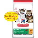 Hills Kitten Tavuklu 5 kg Farmapets Standart Yavru Kedi Maması