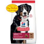Hills Science Plan 12 kg +2 kg Hediyeli Büyük Irk Kuzu Etli Yetişkin Köpek Maması