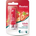 Himalaya 4.5 gr Çilek Dudak Kremi