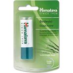 Himalaya Herbals Besleyici Dudak Kremi, Lip Balm, Buğday Tohumu Yağı, Nemlendirici, %100 Doğal Renk