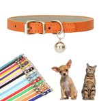 HimyBB Turuncu Yavru Kedi Tasması, Yumuşak Suni Deri Küçük Köpek Tasmaları XXS XS için Ayarlanabilir Toka Ekstra Küçük Orta Küçük Dişi Erkek Erkek Kız Evcil Hayvanlar Yavru Kedi Çay Fincanı Yorkie XX-Small