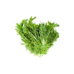 Hindiba (Güneyik) Marul 5 Gram