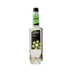 Hindistan Cevizi Aromalı Şurup 750 ml