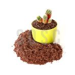 Hindistan Cevizi Torfu%100 Doğal Torf - Cocopeat Hindistan Cevizi Lifi - Doğal Bitki Toprağı 1 Lt
