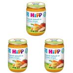 Hipp 3 Adet 220 gr Organik Sebzeli Ve Tavuklu Erişte