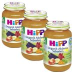 Hipp 4+ Ay 2x125 gr Organik Armut Püresi Kavanoz Maması