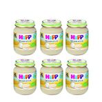 Hipp 4+ Ay 6x125 gr Organik Sütlaç Kavanoz Maması