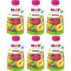 Hipp 6x100 gr Organik Orman Meyveli Şeftalili Elma Püresi Bebek Maması