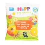 HiPP Organik Havuçlu Frenk Üzümlü Elmalı Portakallı Tahıl Patlağı