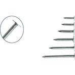 Hırdavat Çatı Şıngıl Çivisi 1.5 Cm 1kg