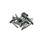 Hırdavat Şıngıl Çivisi Shingle Çivi Çatı Membran Çivi 2 Cm (1 Kg)