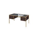 Hitit Dekorasyon Gold Metal Venge Çalışma Masası Megan