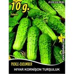 Hıyar Tohumu Salatalık Kornişon Turşuluk - 10 G (~ Takribi 200 Tohum)
