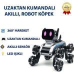 Hızlı Store Uzaktan Kumandalı Akıllı, Eğitici Sesli Işıklı Akrobat Robot Köpek - Açık Beyaz - Gri