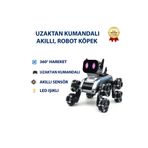 Hızlı Store Uzaktan Kumandalı Akıllı, Eğitici Sesli Işıklı Akrobat Robot Köpek