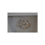 Hly Ceramics Seramik Manolya Çiçeği